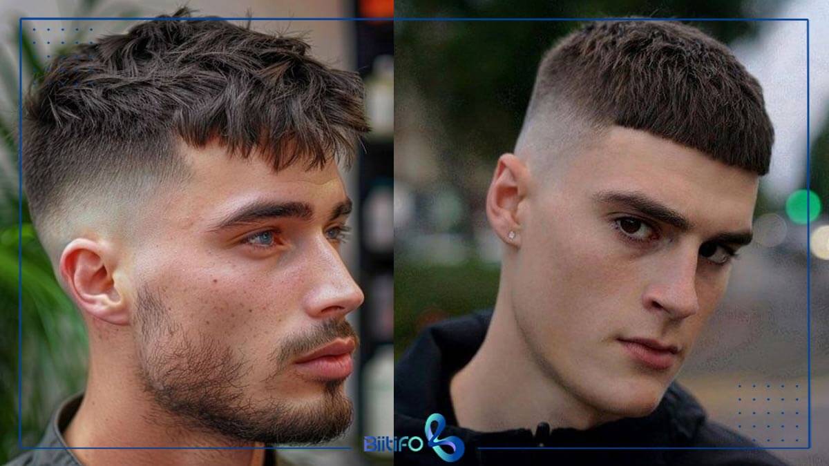 مدل‌های متناسب با مدل صورت 
