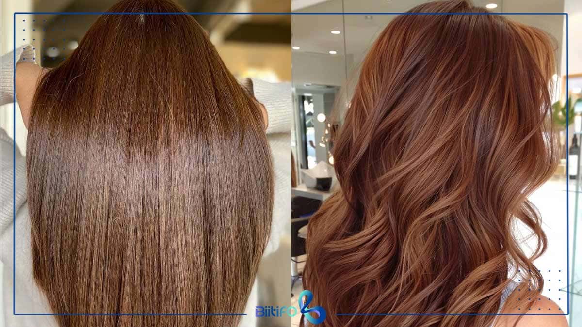 قهوه‌ای شاه‌بلوطی