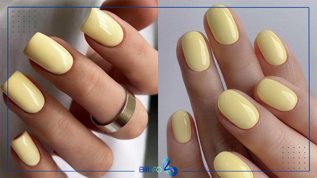 زرد کره‌ای ساده